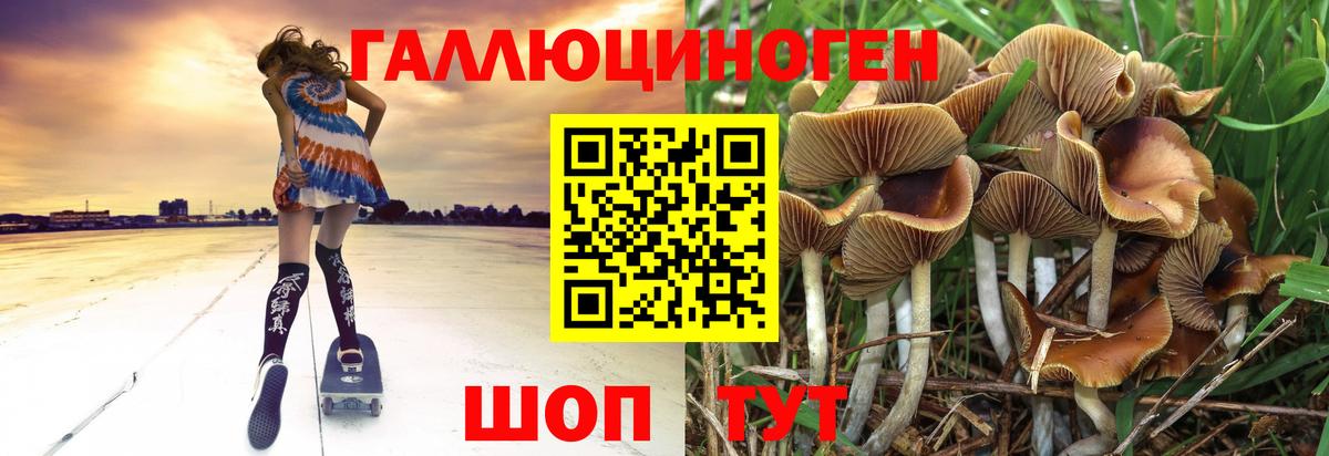 Галлюциногенные грибы Cubensis  Вход с VPN  Галлюциногенные грибы ЛСД  Зерноград 